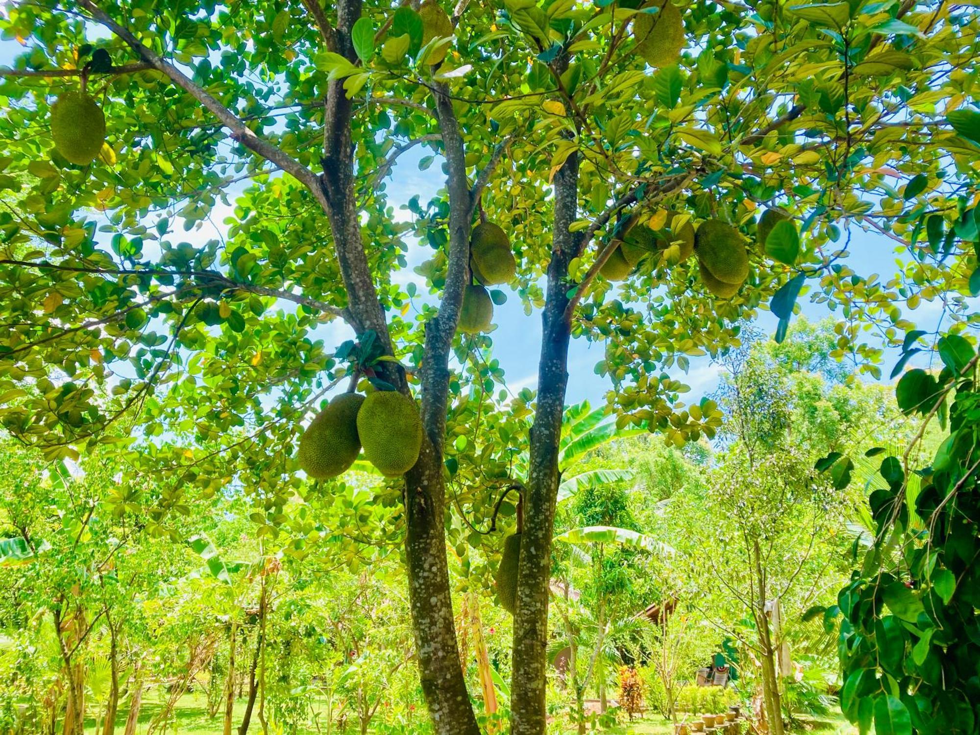 Suncity Privacy Cottages Udawalawe Ngoại thất bức ảnh