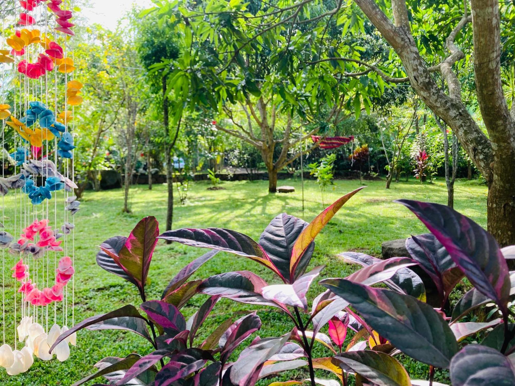 Suncity Privacy Cottages Udawalawe Ngoại thất bức ảnh
