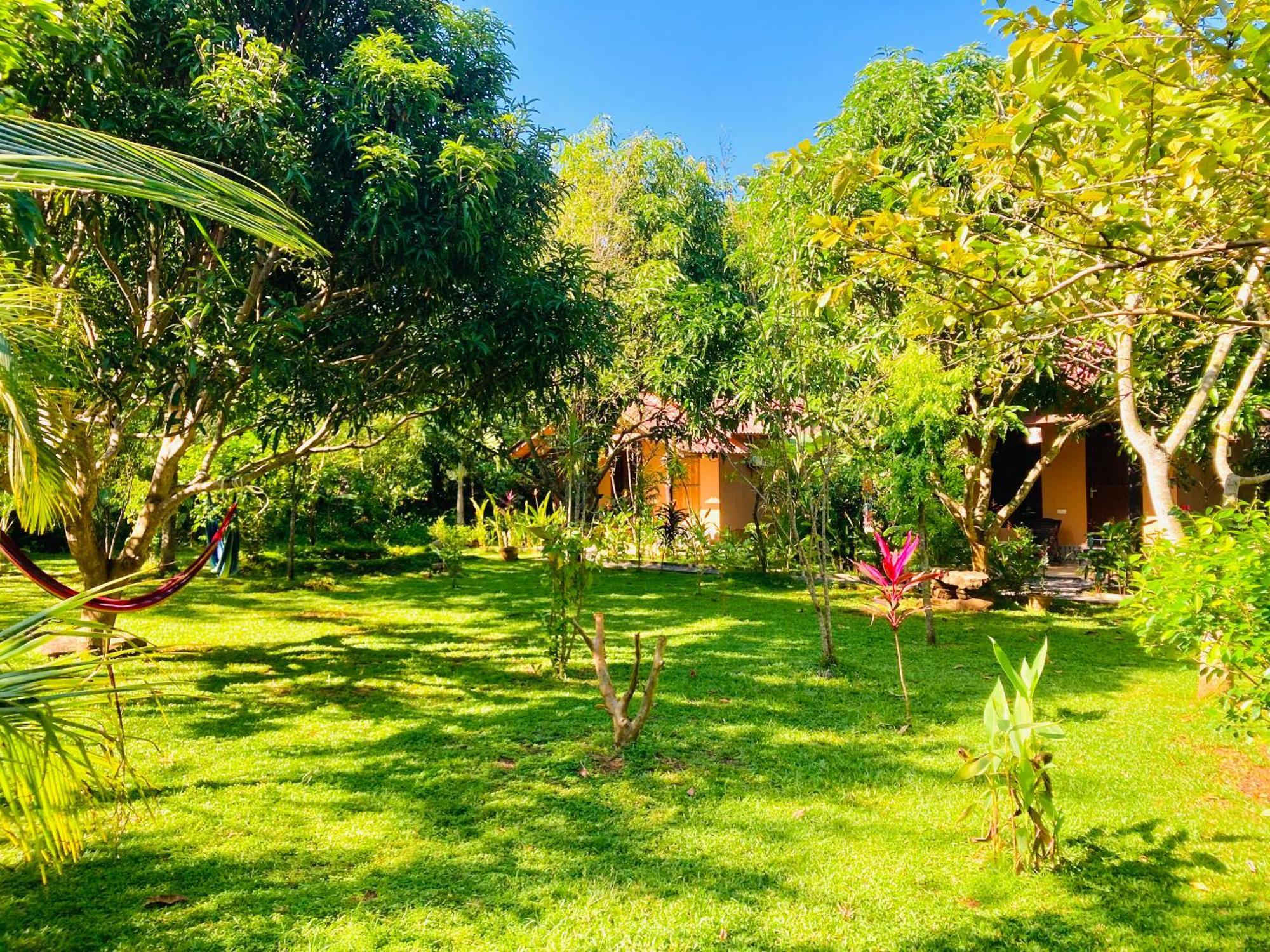 Suncity Privacy Cottages Udawalawe Ngoại thất bức ảnh